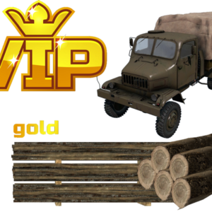 1. Gold VIP