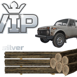 2. Silver VIP
